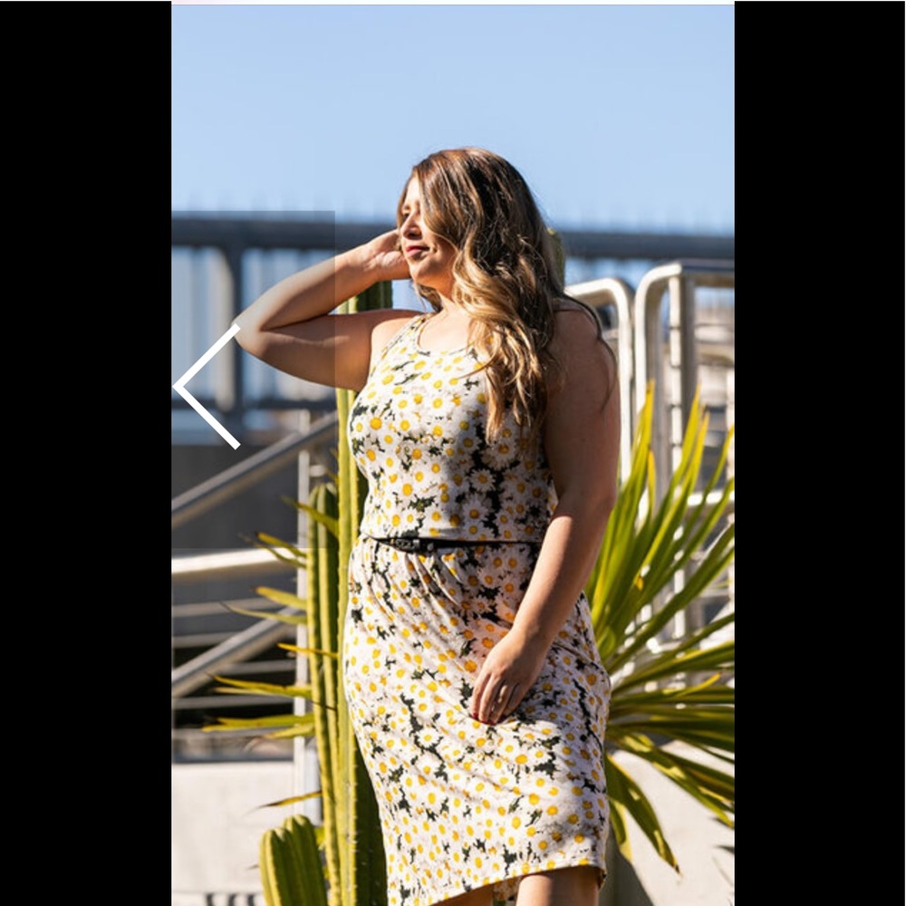 LuLaRoe Summer Daisy Dress